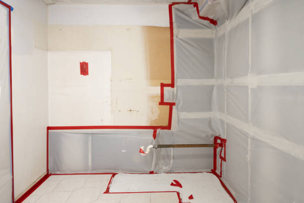 Professional Mold Removal in Saratoga Springs, UT